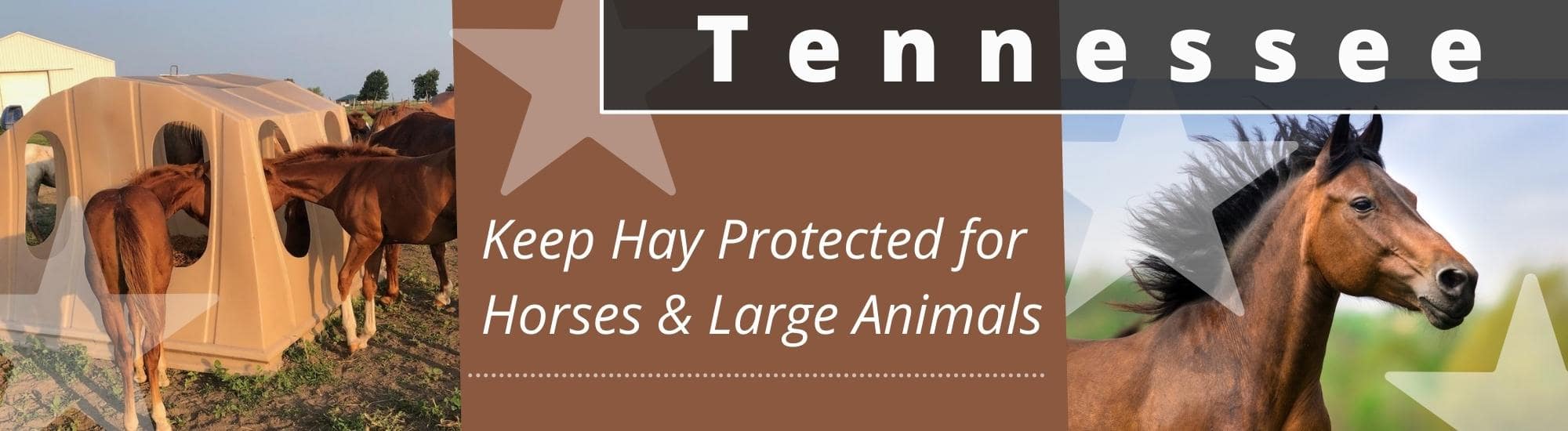 Covered Hay Feeder for Horses and Large Animals -Tennessee